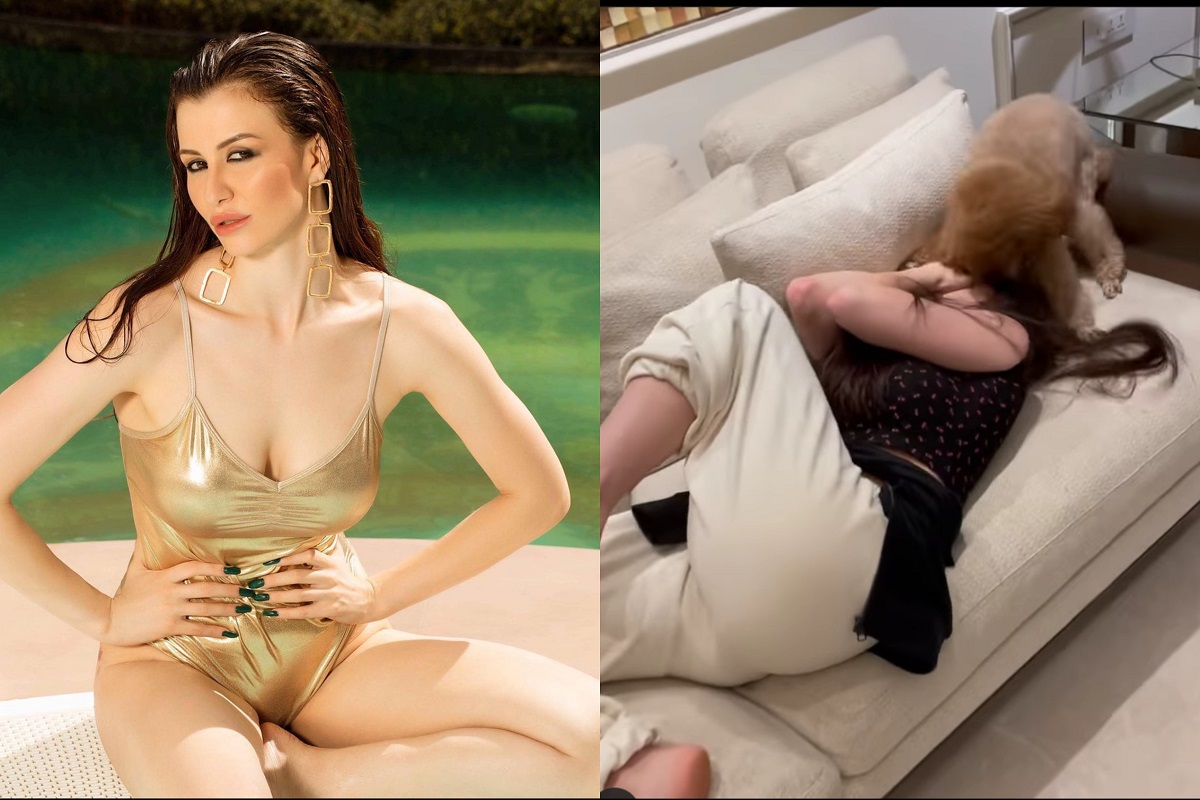 अरबाज खानची गर्लफ्रेंड जॉर्जियावर तिच्याच कुत्र्याने केला हल्ला; VIDEO VIRAL