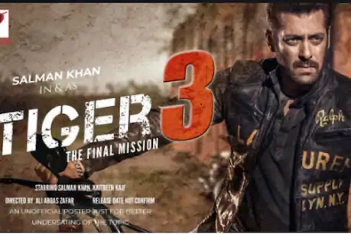 'राधे'नंतर आता Tiger 3 चं काय? सलमानच्या बहुप्रतीक्षित फिल्मबाबत समोर आली मोठी माहिती
