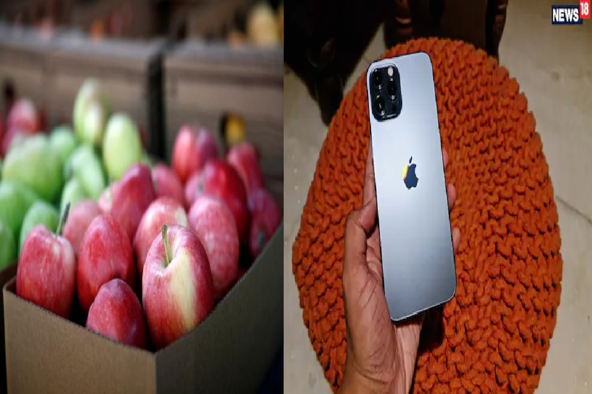 याला म्हणतात LUCK! ऑनलाईन ऑर्डर केले Apple आणि डिलिव्हरीत मिळाला iPhone