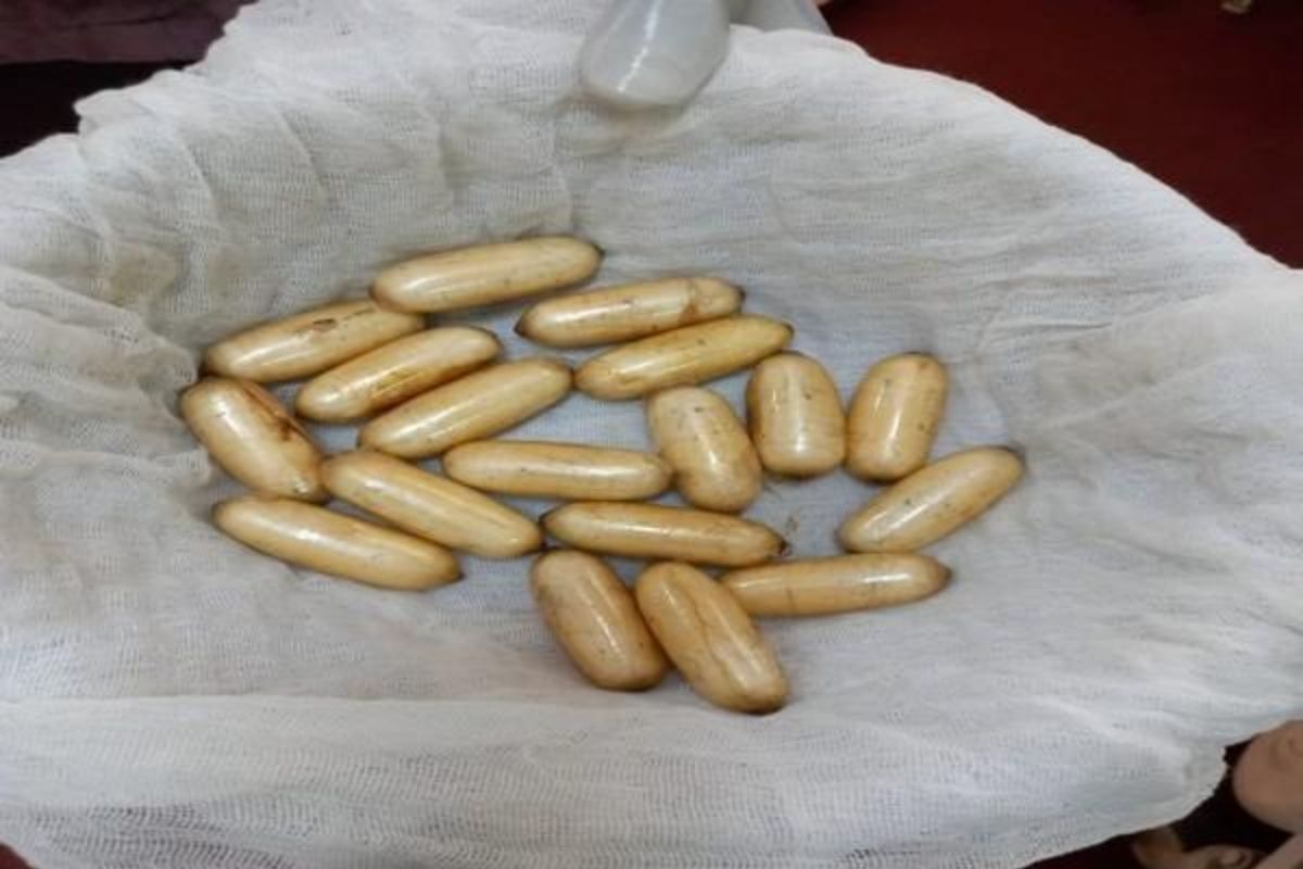 पोटातून कोकेनची तस्करी करणाऱ्या दोघांना NCB ने अटक केली आहे. (File Photo)