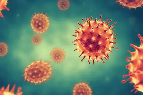 पहिल्या लाटेपेक्षा कोरोनाची दुसरी लाट (Second Wave of Corona virus) अधिक भयंकर असल्याचं म्हटलं जातं आहे, पण नेमकी कशी?