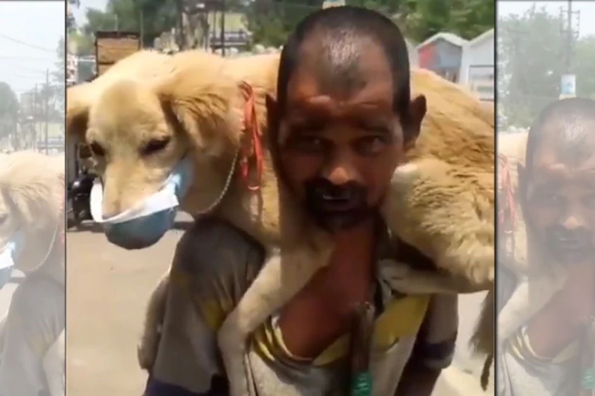 'मी मरेन पण कुत्र्याला मरू देणार नाही!'; कोरोनाच्या संकटात भूतदया दाखविणारा VIDEO