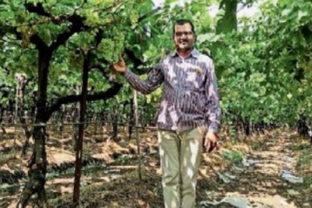 Beed News: बीडच्या शेतकऱ्याची परदेशात कमाल! द्राक्षं पोहचली थेट युरोपच्या बाजारपेठेत