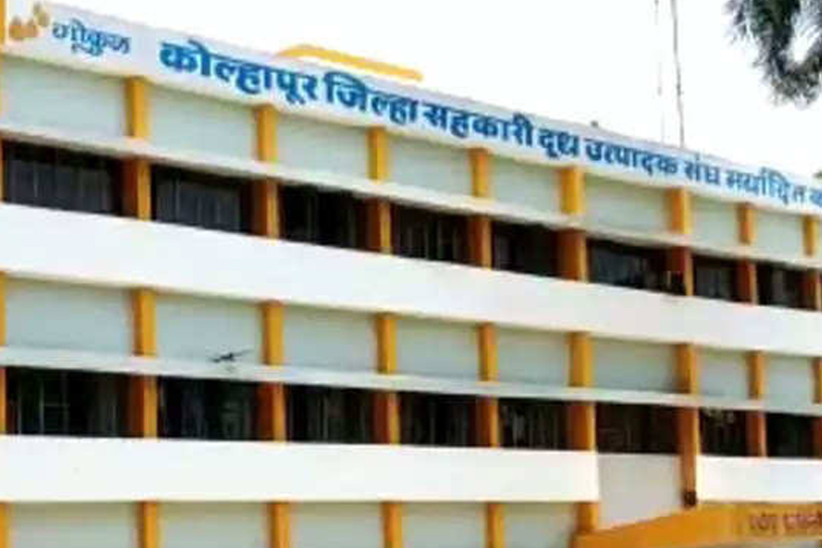 Gokul Election Result: अखेर 25 वर्षांनंतर सत्तांतर; महाडिकांनी गोकूळ गमावलं, पाटील-मुश्रीफ गटाचे वर्चस्व