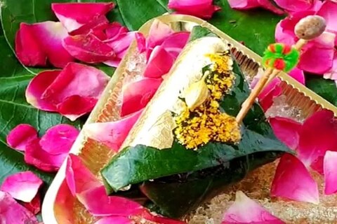 तुम्ही पानचे शौकिन असाल तर फोटो पाहूनच तुम्हाला हे पान खावंसं वाटलं असेल. आता ते तुम्हाला कुठे मिळेल आणि त्यासाठी किती किंमत मोजावी लागेल, ते पाहा.