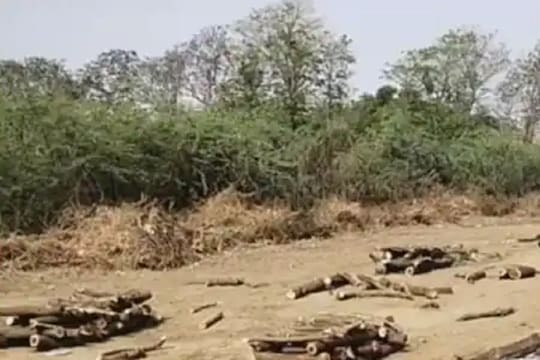 गुजरातमध्ये कोरोनामुळे स्मशानभूमीत रांगा; लवकर अंत्यसंस्कारासाठी पैसे मागितले जात असल्याचं उघड