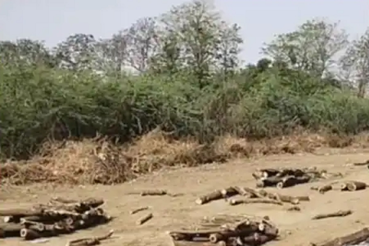 गुजरातमध्ये कोरोनामुळे स्मशानभूमीत रांगा; लवकर अंत्यसंस्कारासाठी पैसे मागितले जात असल्याचं उघड