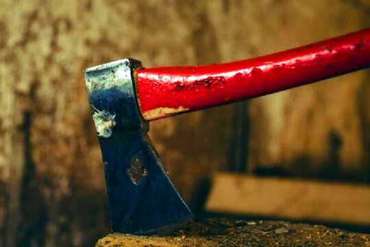 फोनवर बोलायला अडवत होती नणंद, वहिनीने कुऱ्हाडीने वार करत काढला काटा