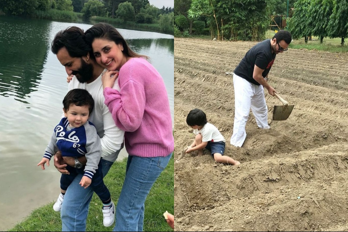 तैमूर बाबासोबत शेतात करतोय मदत, PHOTO ची होतेय मोठी चर्चा