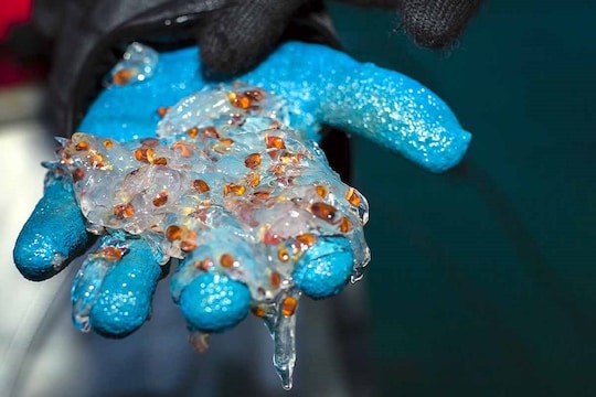 फोटो सौजन्य - गेटी