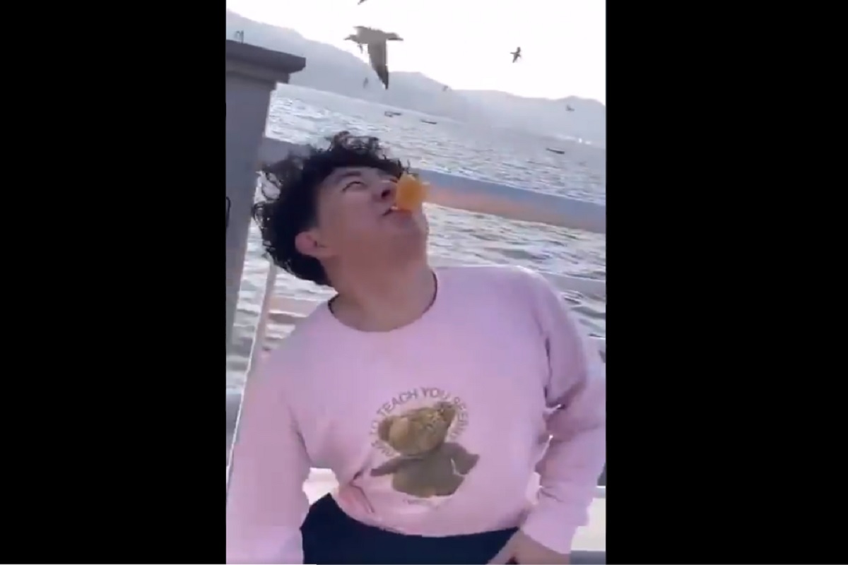 पक्ष्यांसाठी हाताऐवजी तोंडात धरले चिप्स, पुढे जे घडलं ते पाहून हसू आवरणार नाही; मजेशीर VIDEO VIRAL