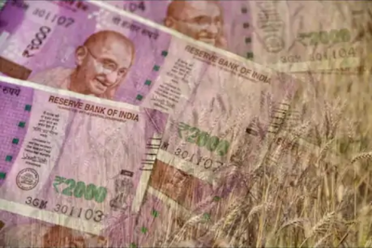 पंजाबमध्ये MSPनं झालेल्या खरेदीची रक्कम थेट शेतकऱ्यांच्या बँक खात्यात जमा, नव्या प्रणालीबाबत बळीराजा समाधानी