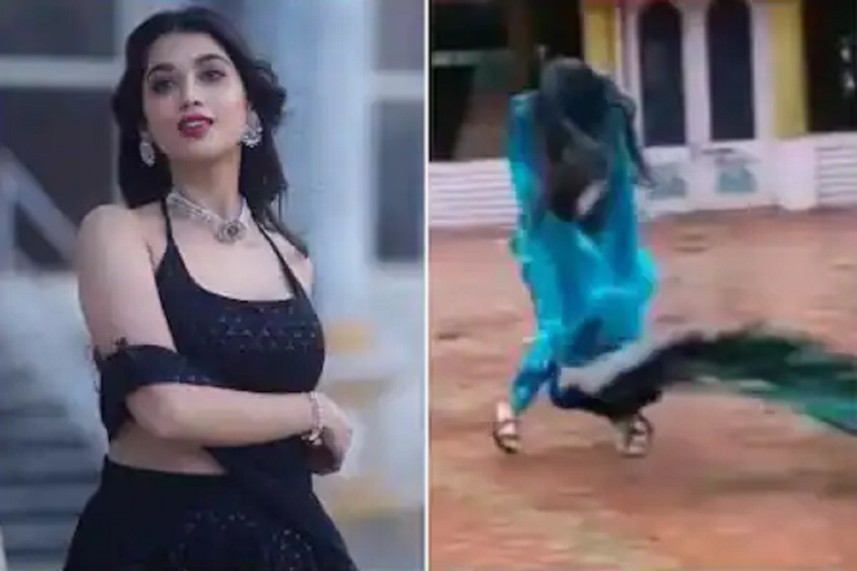 बिग बॉस फेम अभिनेत्रीवर मोराचा हल्ला; नेमकं झालं तरी काय, पाहा VIDEO