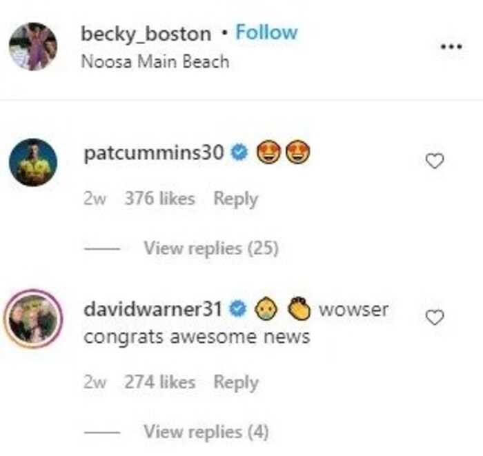 ऑस्ट्रेलियाचा बॅट्समन डेव्हिड वॉर्नरनं (David Warner) या जोडप्याचं अभिनंदन केलं आहे.