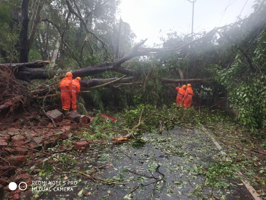 वाऱ्याचा वेग काही ठिकाणी ताशी 120 किमी पर्यंत गेल्याची नोंद झाली आहे. मुंबईत अनेक ठिकाणी झाडं उन्मळून पडली आणि रस्ते बंद झाले.