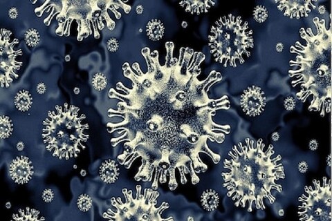 कोरोना व्हायरसच्या (coronavirus) दुसऱ्या लाटेमधून देश सावरलेला नाही. त्याचवेळी आता म्युकरमायकोसिस (Mucormycosis ) म्हणजेच ब्लॅक फंगस हे नवं संकट उभं ठाकलं आहे. ब्लॅक फंगस (Black Fungus)च्या रुग्णांचा आकडा आता दिवसेंदिवस वाढत चालला आहे.