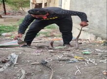 धक्कादायक! कोविड सेंटरमागे सर्पमित्रानेच सोडले 25 ते 30 साप धक्कादायक! कोविड सेंटरमागे सर्पमित्रानेच सोडले 25 ते 30 साप