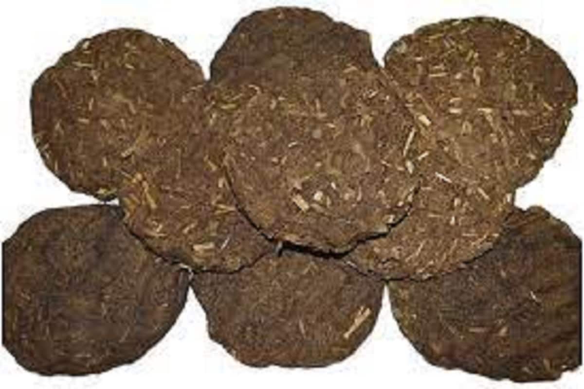 धन्य! पठ्ठ्याने भारतातून अमेरिकेत नेल्या शेण्या, एअरपोर्टवरच झाली जप्तीची कारवाई