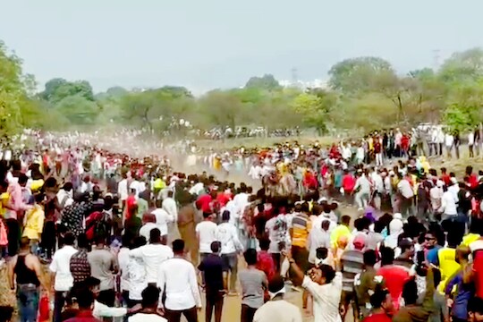 Dombivali पुन्हा एकदा बैलगाडा शर्यतींचा धुराळा, न्यायालयाच्या आदेशाला केराची टोपली, कोरोनाचे नियमही पायदळी तुडवले!