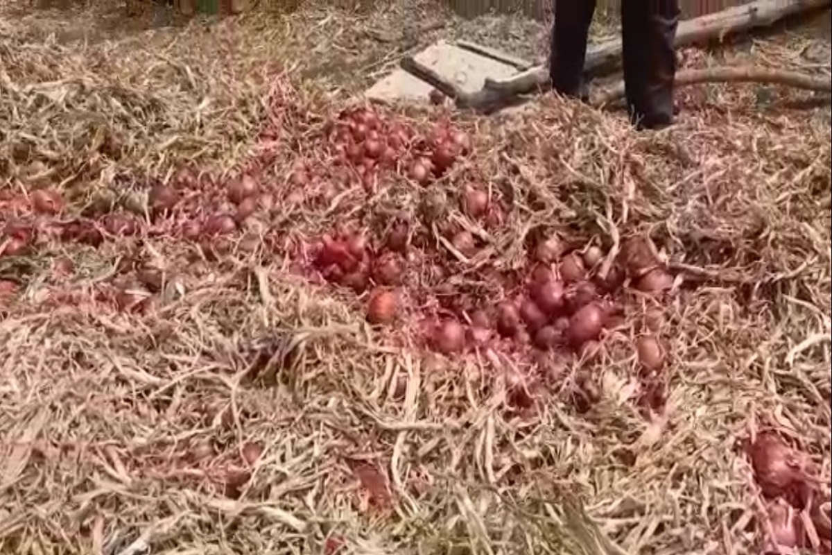 याउलट छोट्या आकाराचा कांदा कापताना त्रास होतो. कादा काल्यानंतर फार छोटा भाग वापरण्यायोग्य राहतो. यामुळे कांदा खरेदी करताना मीडियम साईजचा कांदा घ्यावा.