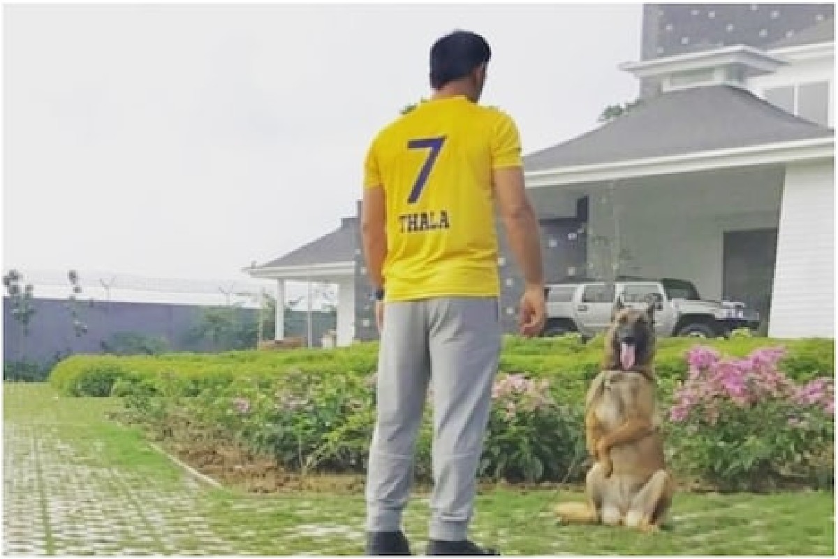 'तो' सध्या काय करतोय? IPL 2021 नंतर पहिल्यांदाच समोर आला माहीचा VIDEO