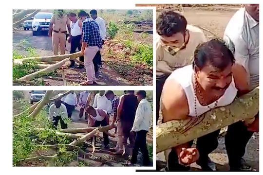 मटण खा, म्हणणाऱ्या आमदारांनी स्वतः शर्ट काढून रस्त्यावर पडलेलं झाड केलं बाजुला, संजय गायकवाड पुन्हा चर्चेत