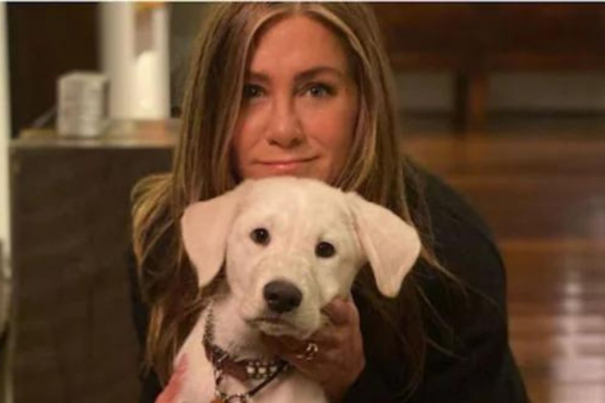 कोरोना काळात हॉलिवूडही भारतासाठी सरसावलं; आता जेनिफर अॅनिस्टनने केलं मदतीचं आवाहन