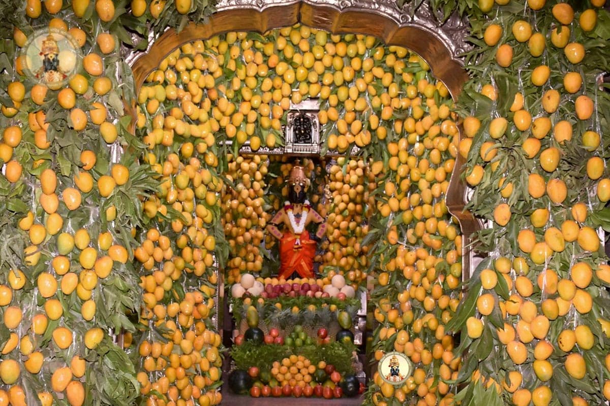 आज अक्षय्य तृतीया असल्याने श्री विठ्ठल रुक्मिणी मंदिरात हापूस आंब्याची आरास केली आहे. याठिकाणी प्रत्येक सणानिमित्त फुलांची सजावट केली जाते. पण सध्या आंब्याचे दिवस असल्याने सजावट करण्यासाठी आंब्याचा उपयोग केला आहे. आज अक्षय्य तृतीया असल्याने श्री विठ्ठल रुक्मिणी मंदिरात हापूस आंब्याची आरास केली आहे. याठिकाणी प्रत्येक सणानिमित्त फुलांची सजावट केली जाते. पण सध्या आंब्याचे दिवस असल्याने सजावट करण्यासाठी आंब्याचा उपयोग केला आहे.