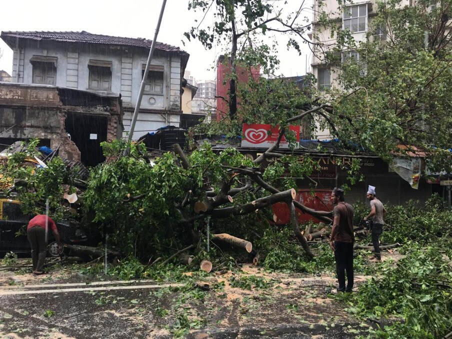 मुंबईतील विविध भागात रस्त्यावर पडलेली झाडं हटवण्यासाठी बऱ्याच ठिकाणी महानगरपालिकेचे कर्मचारीही उपलब्ध नाहीत. त्यामुळे नागरिकांना प्रचंड त्रासाला सामोरं जावं लागत आहे. 
