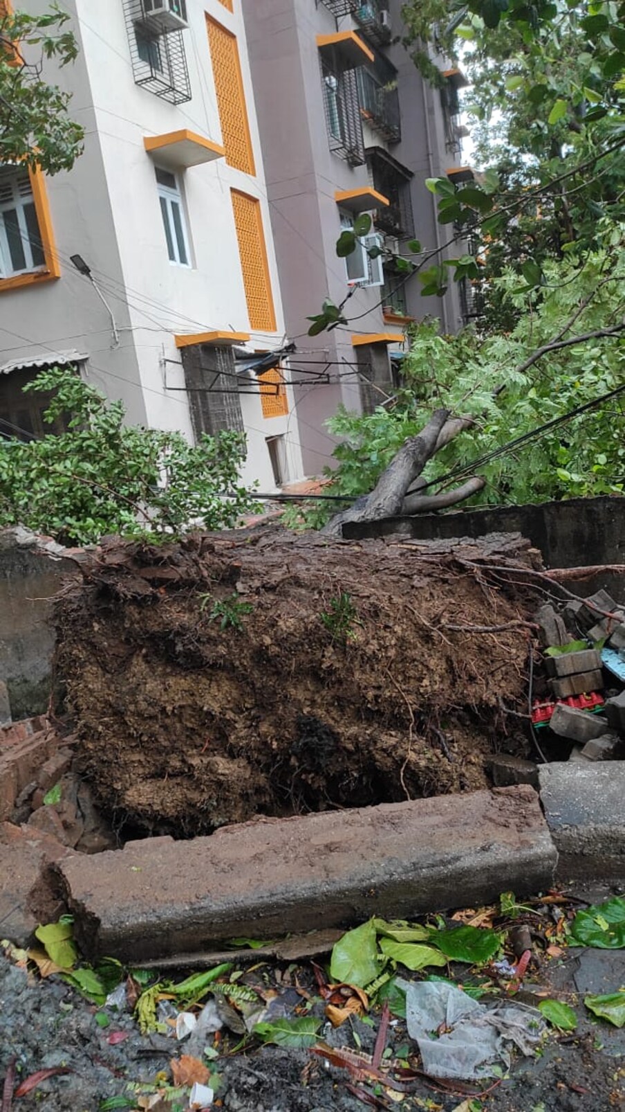  मुंबईतील विविध भागात मुसळधार पावसाचा मोठा फटका बसला असून अनेक ठिकाणी झाडं कोसळल्याच्या घटना समोर आल्या आहेत. तर काही ठिकाणी रस्ते पावसाच्या पाण्यानं तुडुंब भरली आहेत. 