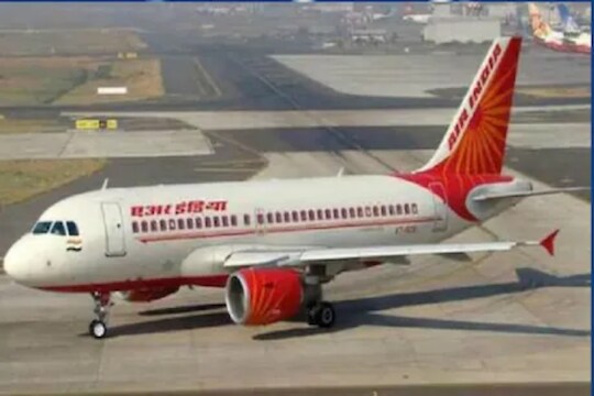 मुंगीमुळे महाभारत! बिझनेस क्लासमध्ये होत्या मुंग्याच  मुंग्या, लंडनला जाणाऱ्या विमानात सावळा गोंधळ