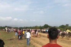 'अर्रर्र गाडा सुटला; आवरा यांना', ऐन कोरोनाच्या संकटात बैलगाड्यांची शर्यत, Video