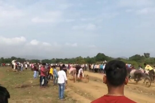 'अर्रर्र गाडा सुटला; आवरा यांना', ऐन कोरोनाच्या संकटात बैलगाड्यांची शर्यत, Video Viral