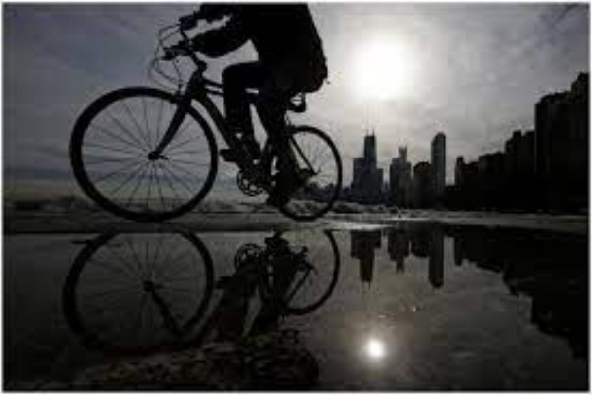 Wrong side ने सायकल चालवली म्हणून महिला पोलिसाने अडवलं, आणि... थेट कोर्टात झाली रवानगी