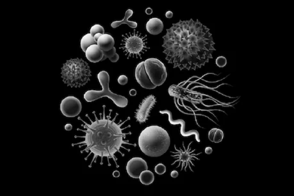 चिंता वाढली; देशात ग्रीन फंगसचा धोका, पहिल्या रुग्णाची नोंद