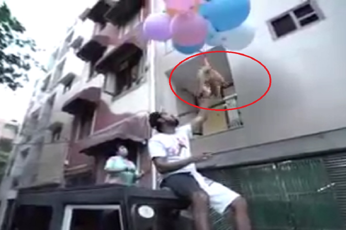 क्रूरतेचा कळस! कुत्र्याला फुगे बांधून त्याला हवेत उडवलं, YouTuber ला अटक