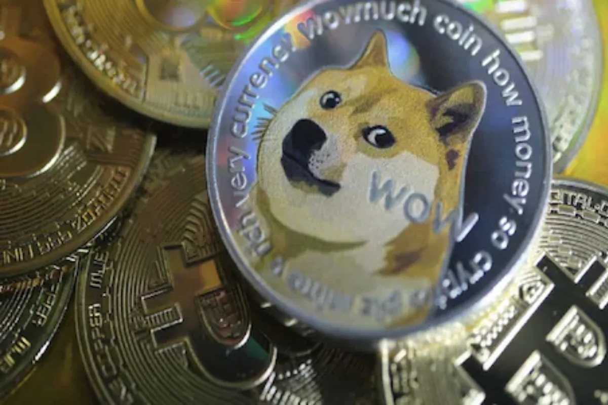 Dogecoin ची कमाल! 33 वर्षीय तरुणाने अवघ्या 4 महिन्यात कमावले कोट्यवधी