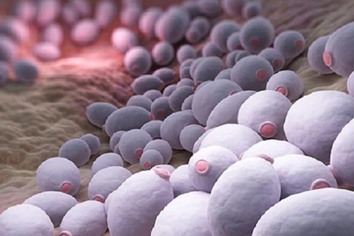 कोरोना काळात धोकादायक ठरू शकतात असे Fungus diseases