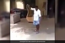 विषारी साप पकडता पकडता अचानक लुंगी सोडली आणि...; VIDEO पाहून लोक झालेत हैराण! विषारी साप पकडता पकडता अचानक लुंगी सोडली आणि...; VIDEO पाहून लोक झालेत हैराण!