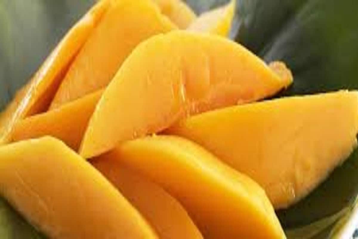 दही थंड असतं तर, आंबा उष्ण त्यामुळे आंबा आणि दही एकत्र खाल्याने शरीरात विषारी घटकांची निर्मीती होते. तर, त्वचे संबंधी समस्याही निर्माण होऊ शकतात. दही थंड असतं तर, आंबा उष्ण त्यामुळे आंबा आणि दही एकत्र खाल्याने शरीरात विषारी घटकांची निर्मीती होते. तर, त्वचे संबंधी समस्याही निर्माण होऊ शकतात.