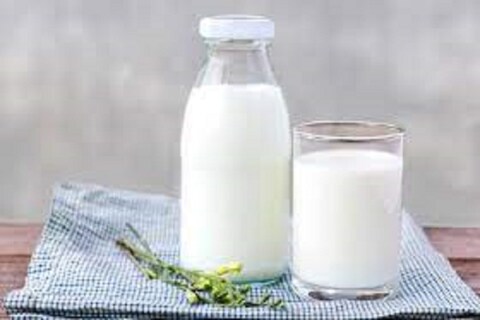 कच्च्या दुधामध्ये (Raw Milk)  अनेक बॅक्टेरिया (Bacteria) देखील असतात. ज्यामुळे टीबी किंवा काही प्राणघातक आजार होऊ शकतात.  