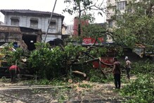 Tauktae : मुंबईला तर चक्रीवादळाने झोडपलं, ठाणे-डोंबिवलीत काय आहे परिस्थिती? Tauktae : मुंबईला तर चक्रीवादळाने झोडपलं, ठाणे-डोंबिवलीत काय आहे परिस्थिती?