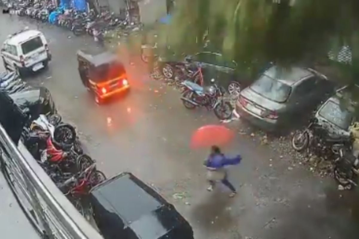 भलमोठं झाड कोसळलं आणि...एका क्षणानं दिली मृत्यूला हुलकावणी; चक्रीवादळाचा अंगावर काटा आणणारा VIDEO