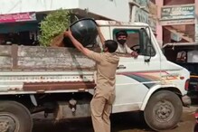 कर्तव्य मोठे! नगर परिषदेतील मुलाने जप्त केले आईने लावलेल्या भाजीपाल्याचे टोपले कर्तव्य मोठे! नगर परिषदेतील मुलाने जप्त केले आईने लावलेल्या भाजीपाल्याचे टोपले