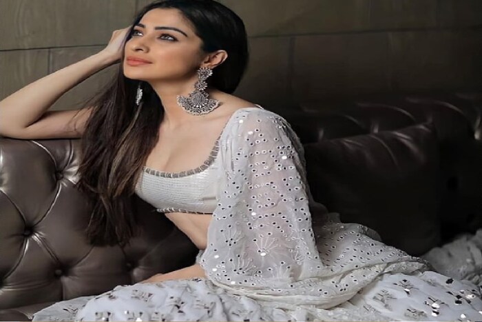 राय लक्ष्मीने जुली-2 आणि अकिरा या चित्रपटांमध्ये काम केलं. तसंच ती दक्षिणेतल्या 50 पेक्षा जास्त चित्रपटांमध्ये दिसली.