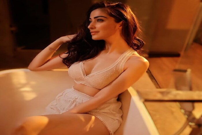 धोनीसोबतचं माझं नात एक असा डाग आहे, जो मी खूप काळ पुसू शकणार नाही, असं राय लक्ष्मी टाईम्स ऑफ इंडियाशी बोलताना म्हणाली होती. 