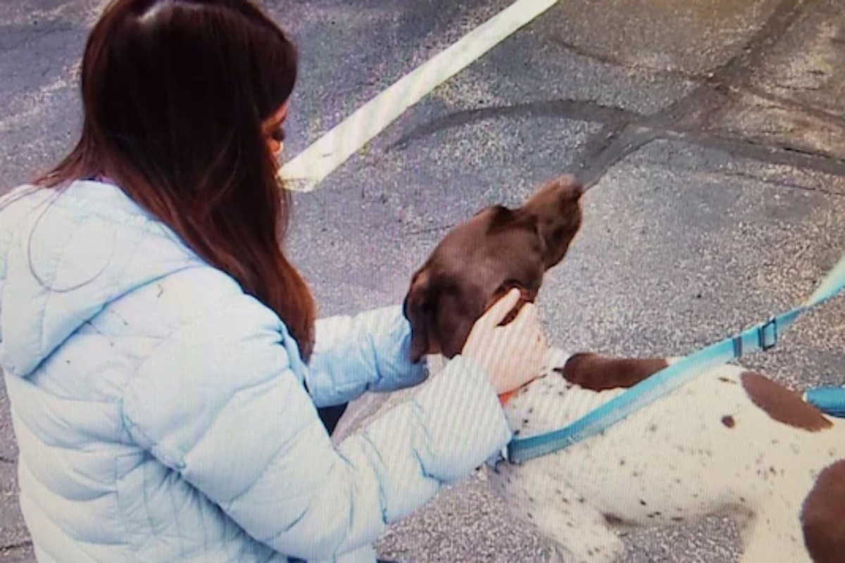 VIDEO: कुत्रा गायब झाल्याचं रिपोर्टिंग करतानाच रिपोर्टरला दिसला तोच श्वान, पाहा चोरट्यापासून कशी केली सुटका