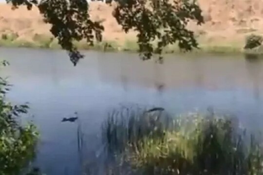 हवेनंतर आता पाण्यातून कोरोना पसरण्याचा धोका? गंगा, यमुना नदीतील मृतदेहांमुळे वाढली भीती