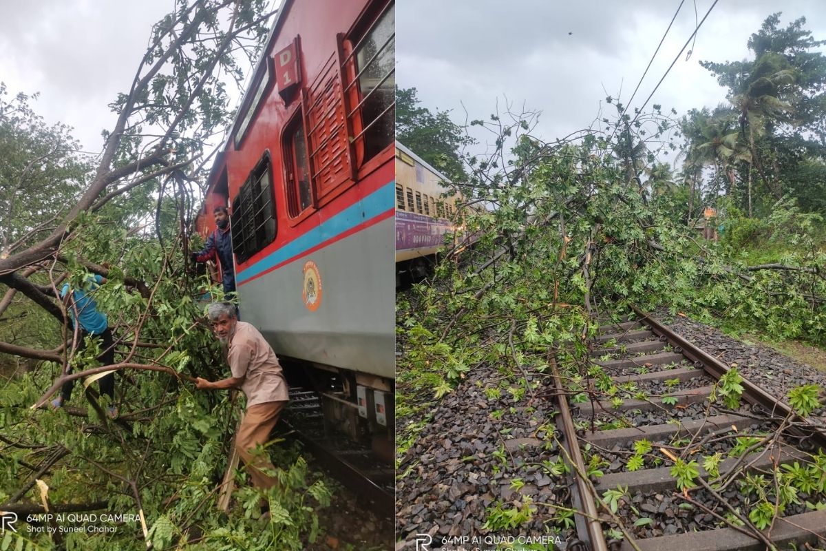 चक्रीवादळाचा कोकण रेल्वेला फटका; एक्सप्रेस ट्रेनवर झाड कोसळल्यानं रेल्वेसेवा ठप्प