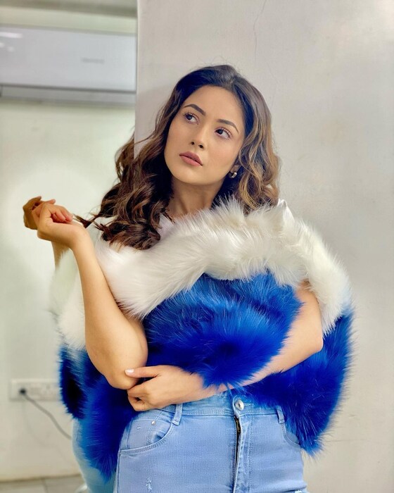 शहनाज सतत आपले वेगवेगळ्या लुकमधील फोटो चाहत्यांसाठी शेयर करत असते. 